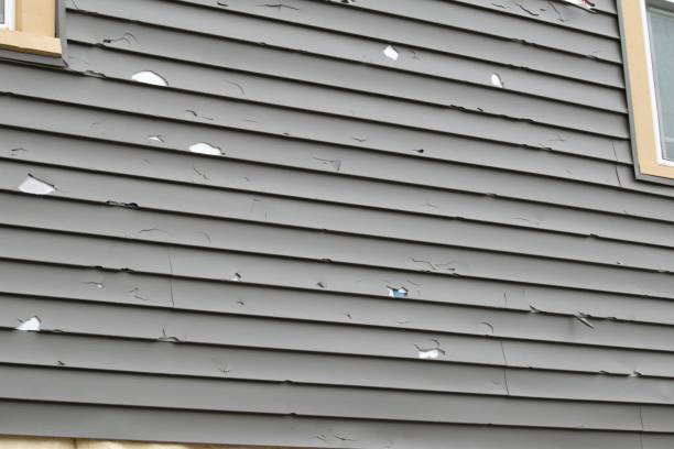 Best Fascia and Soffit Installation  in South Hooksett, NH